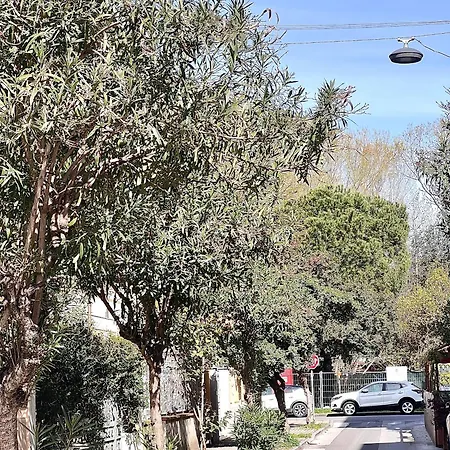 Casa Sant'andrea Viareggio