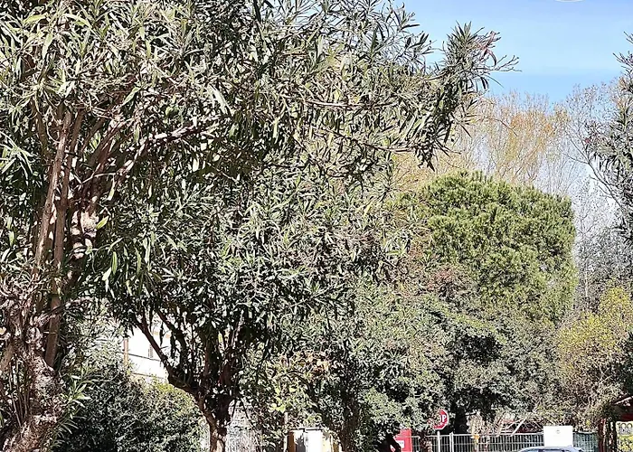 Casa Sant'andrea Viareggio